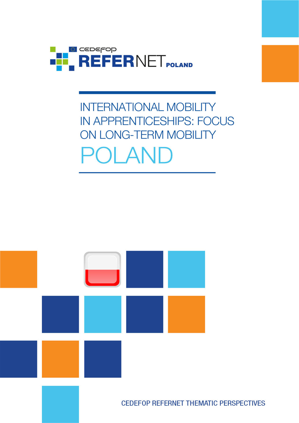 International mobility in apprenticeships: focus on long-term mobility: Poland